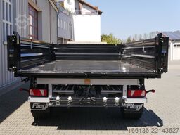 FLIEGL Tandem-Seitenkipper TSK 210 T - 5 Meter
