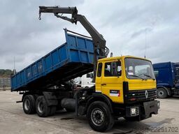 Renault G 290 Manager (POMPE MANUELLE / GRUE / LAMES / ...
