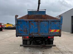 Renault G 290 Manager (POMPE MANUELLE / GRUE / LAMES / ...