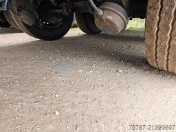 REISCH 49 cbm, Pendelklappe, Lift, Lastmanometer, BPW