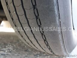 Iveco MAGELYS PRO