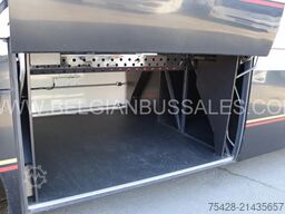Iveco MAGELYS PRO