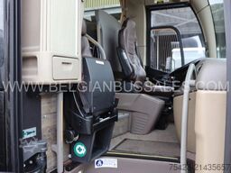 Iveco MAGELYS PRO