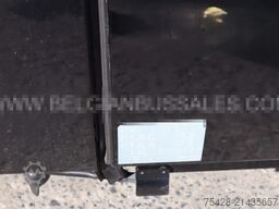 Iveco MAGELYS PRO