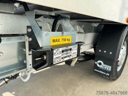 CITROEN Jumper 410x210x205cm und LBW