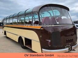 SETRA Kässbohrer Setra S 11