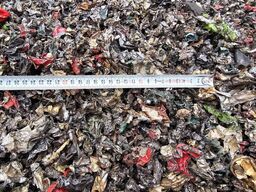Myllyojan Metalli Oy Shredder RC-250 RD