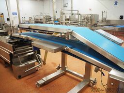 Weber Line Outfeed Conveyor Twin Level Conveyor