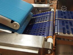 Weber Line Outfeed Conveyor Twin Level Conveyor