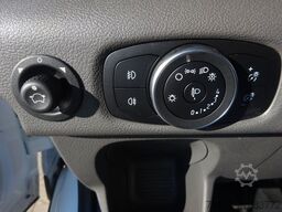 FORD Transit Kasten Trend 310 L3H2 GRA SHZ DAB