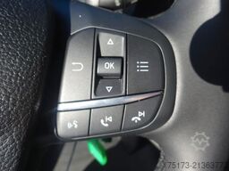 FORD Transit Kasten Trend 310 L3H2 GRA SHZ DAB