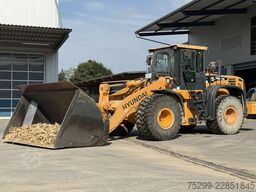 Sonstige HL 760-9A Radlader / Swiss-Vehicle