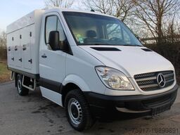 MERCEDES-BENZ Sprinter310 TK ColdCar 3+3Türen MT-25°C