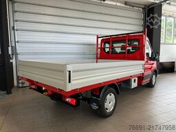 Ford Transit 350  - Cassone Fisso - NUOVO  -