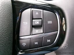 FORD Tourneo Custom Active 340L1 PHEV AHK Matrix 360K