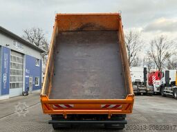 MAN TGS 18.360 4x4 Kipper Kran PALFINGER Winterd.