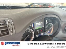 DAF CF 460 FAS 6x2, Navi, Knickarm, Zwillingsbereifte