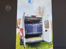PEUGEOT Opel Movano Fiat Ducato Boxer mehrfach vorhanden