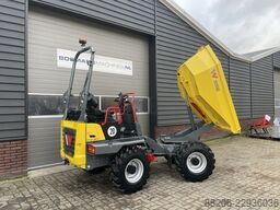 NEUSON DW30 wieldumper NIEUW
