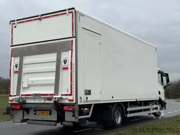 MAN TGL TGL 12.250