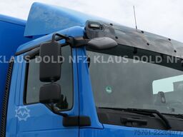 MAN TGM 15.290 Koffer Kamera Navi LBW Euro 6