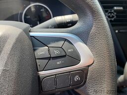 IVECO Daily 50C18HA8/P V 16m3 AUT LUFT NAVI AHK 3,5t