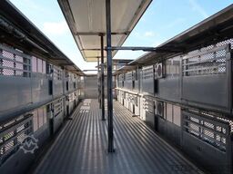 Berdex OS. 12.27 Pig transport