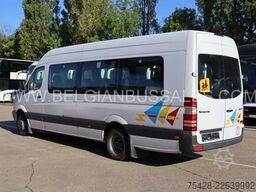 Mercedes-Benz Sprinter/EVM Limited / Euro 5 / Manual gearbox