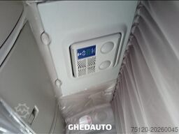 IVECO AS440ST/P - AS440ST/P TRATTORE