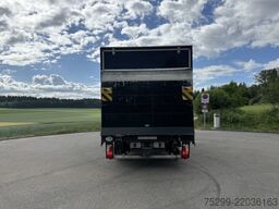 Mercedes-Benz 316 CDI Koffer/HB / Swiss-Vehicle