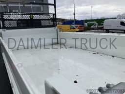 Olmar Olmar Olmar