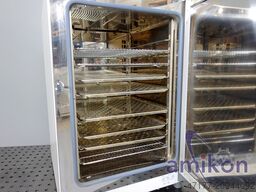 Thermo Scientific Heratherm OMS180 250°C