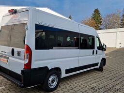 Opel Movao Fiat Ducato Systemboden Rolli