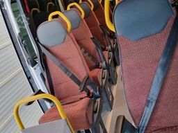 MERCEDES-BENZ Sprinter Lord Light 22 Sitzer 5 x Lagerfahrzeug