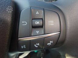 FORD Transit 350L3H2 Trail 4x4 Navi Stndhz. en