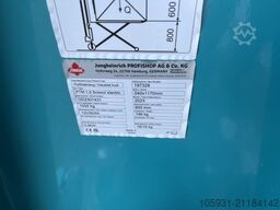 *Sonstige Ameise PTM1.0