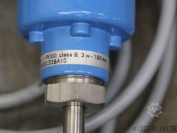 Endress+Hauser RSA10-31B1T