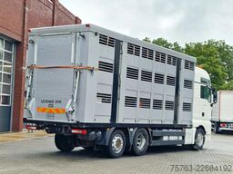 MAN TGX 26.480 6x2*4 - Menke 3 deck livestock 50.40...