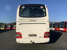 MAN R 09 Lions Coach C
