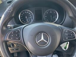 Mercedes-Benz Vito Kasten 316 CDI RWD extralang Kamera