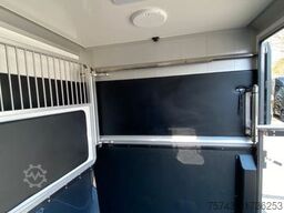 RENAULT Master STX 5 Sitzer Haras ex. Lang Automatik