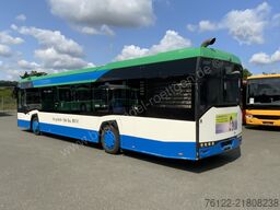 Solaris Urbino 12