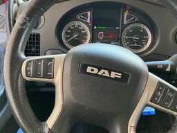 DAF XF 450