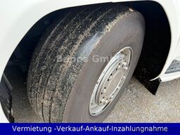SCANIA SUPER-Highline R 450-LEDER-Retarder