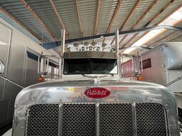 Peterbilt SALE PRICE 388 Truck USA