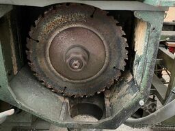 Rex Homs 310