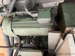 Rex Homs 310