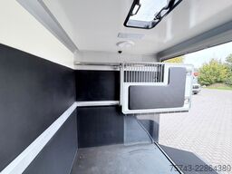 RENAULT Master STX 5 Sitzer Haras ex. Lang Automatik
