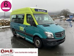 Mercedes-Benz 313 CDI Sprinter