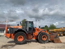 Hitachi ZW310